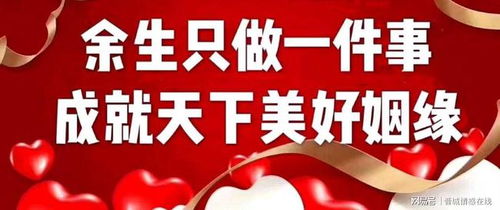 晋城婚恋新风尚 初心如“香水百合”，专业婚介成就美满姻缘